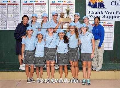 Thumbnail 3 in AIA D1 Girls Golf Championships photogallery.