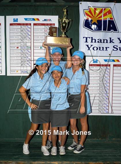 Thumbnail 2 in AIA D1 Girls Golf Championships photogallery.