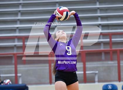 Thumbnail 1 in Warren @ O'Connor photogallery.