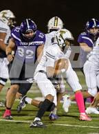 Photo from the gallery "Turner @ Piper"