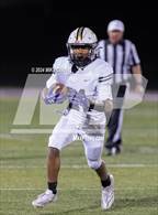 Photo from the gallery "Turner @ Piper"