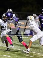 Photo from the gallery "Turner @ Piper"