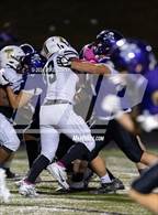Photo from the gallery "Turner @ Piper"
