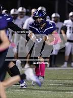 Photo from the gallery "Turner @ Piper"