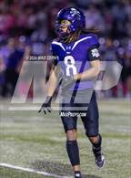 Photo from the gallery "Turner @ Piper"