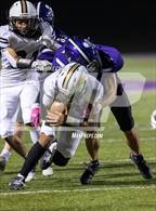 Photo from the gallery "Turner @ Piper"