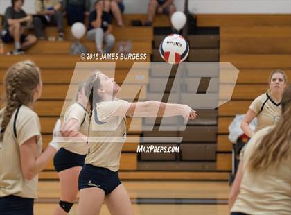 Thumbnail 2 in Girls Prep vs Pope John Paul II photogallery.