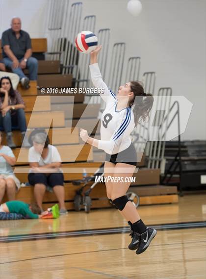 Thumbnail 3 in Girls Prep vs Pope John Paul II photogallery.