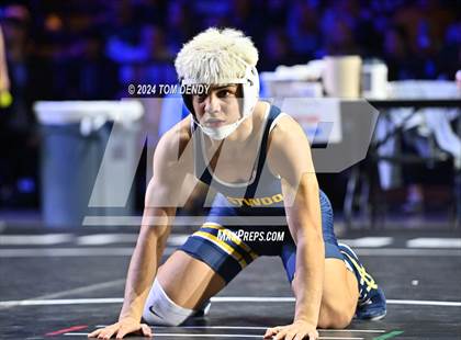 Thumbnail 1 in UIL 6A Championship Finals 126, 132, 138lb photogallery.