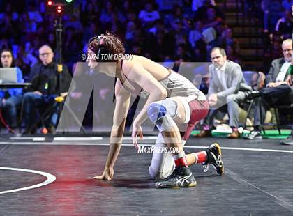 Thumbnail 2 in UIL 6A Championship Finals 126, 132, 138lb photogallery.
