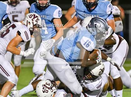 Thumbnail 2 in Cameron Yoe @ China Spring photogallery.