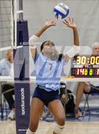 Photo from the gallery "Daniel @ Lovett (Lovett Block Party)"