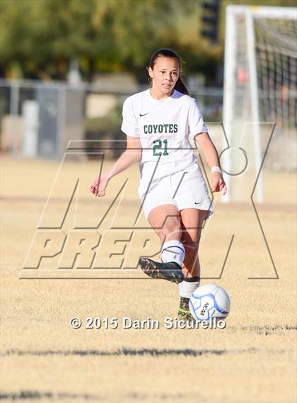 Thumbnail 1 in Perry vs. Skyline (Dobson Mustang Classic) photogallery.