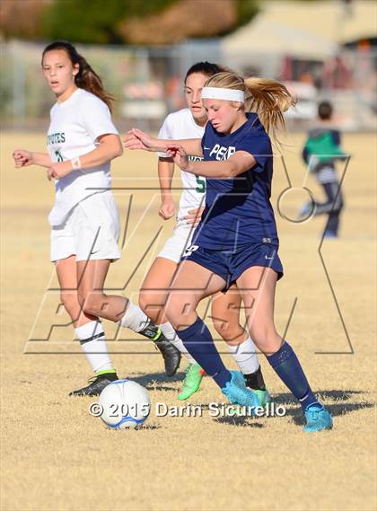 Thumbnail 1 in Perry vs. Skyline (Dobson Mustang Classic) photogallery.