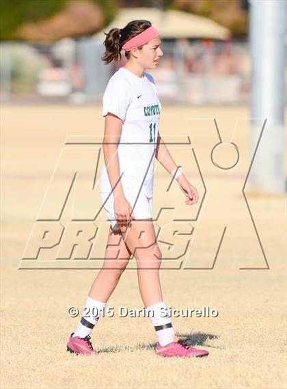 Thumbnail 3 in Perry vs. Skyline (Dobson Mustang Classic) photogallery.