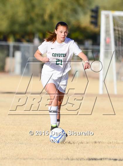 Thumbnail 1 in Perry vs. Skyline (Dobson Mustang Classic) photogallery.