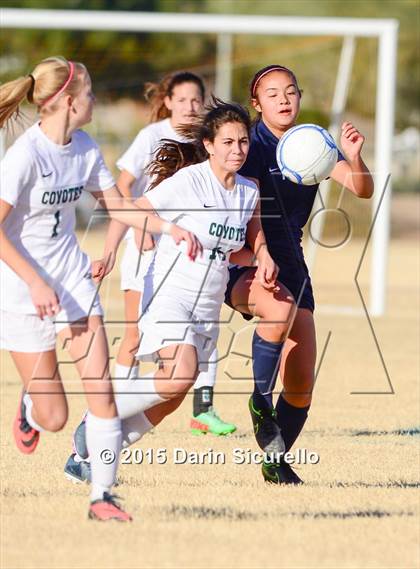 Thumbnail 2 in Perry vs. Skyline (Dobson Mustang Classic) photogallery.