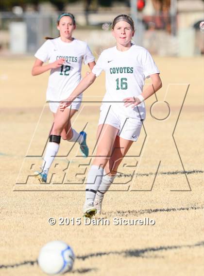 Thumbnail 3 in Perry vs. Skyline (Dobson Mustang Classic) photogallery.