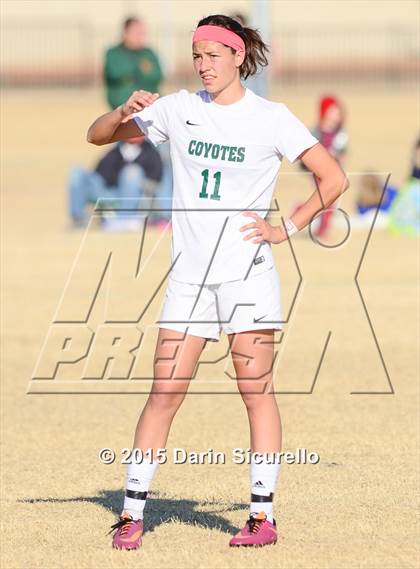 Thumbnail 1 in Perry vs. Skyline (Dobson Mustang Classic) photogallery.