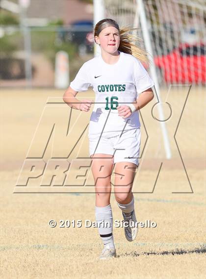 Thumbnail 2 in Perry vs. Skyline (Dobson Mustang Classic) photogallery.