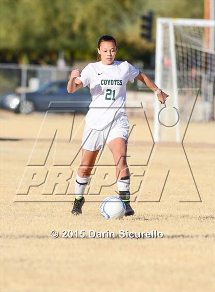 Thumbnail 3 in Perry vs. Skyline (Dobson Mustang Classic) photogallery.