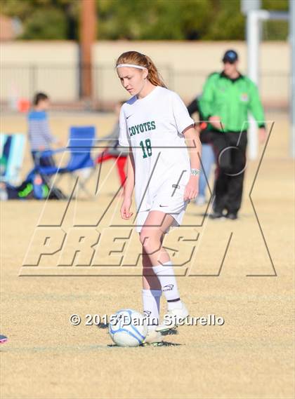 Thumbnail 3 in Perry vs. Skyline (Dobson Mustang Classic) photogallery.