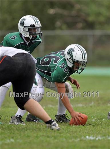 null - Photo 01