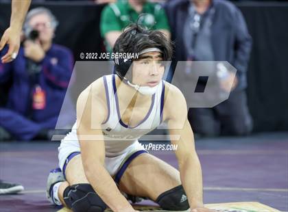 Thumbnail 1 in CIF State Championships (Boy's 3rd Place Matches) photogallery.