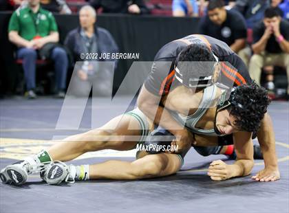Thumbnail 3 in CIF State Championships (Boy's 3rd Place Matches) photogallery.