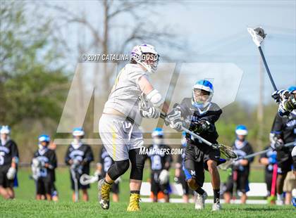 Thumbnail 3 in Middletown @ Warwick photogallery.