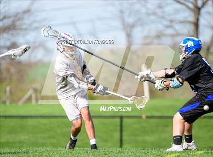 Thumbnail 3 in Middletown @ Warwick photogallery.