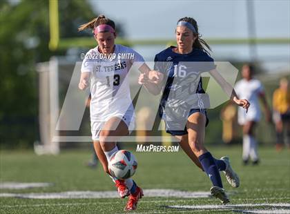Thumbnail 2 in St. Teresa's Academy @ Liberty North - MSHSAA Class 4 Quarterfinal photogallery.