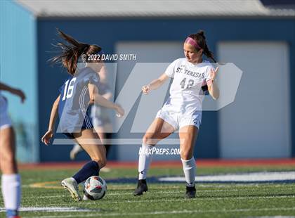 Thumbnail 1 in St. Teresa's Academy @ Liberty North - MSHSAA Class 4 Quarterfinal photogallery.