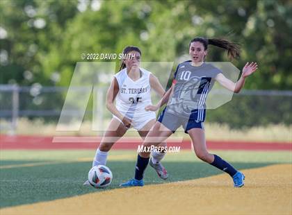 Thumbnail 1 in St. Teresa's Academy @ Liberty North - MSHSAA Class 4 Quarterfinal photogallery.