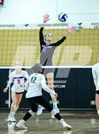 Photo from the gallery "North Creek @ Redmond"
