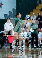 Photo from the gallery "North Creek @ Redmond"