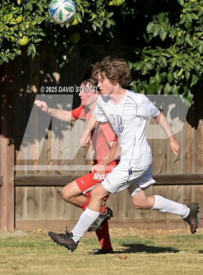 Thumbnail 1 in Forest Lake Christian @ Sacramento Country Day (CIF SJS D7 Playoff Round 1) photogallery.