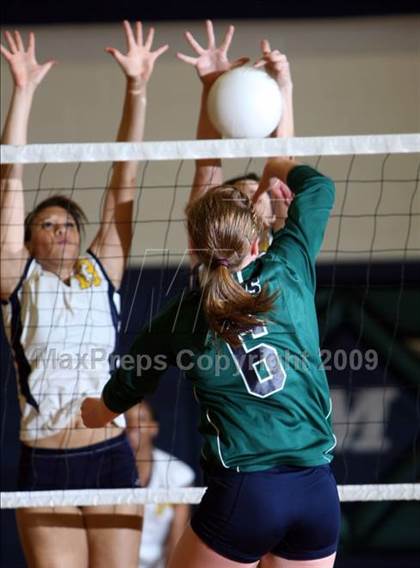 Thumbnail 2 in Stony Point @ McNeil photogallery.