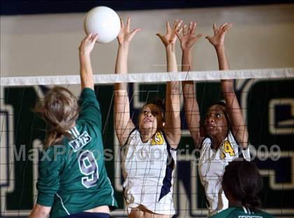 Thumbnail 1 in Stony Point @ McNeil photogallery.