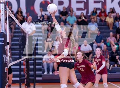 Thumbnail 2 in Episcopal School of Jacksonville @ Tocoi Creek photogallery.