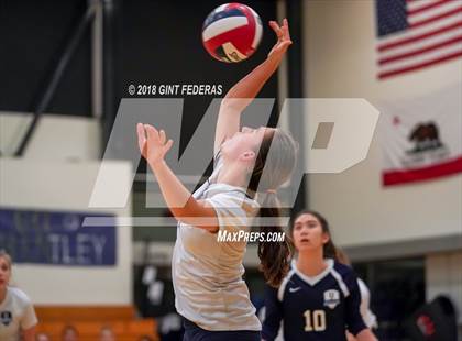 Thumbnail 2 in Urban @ Bentley (CIF NCS D5 Quarterfinal) photogallery.