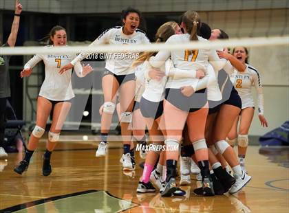 Thumbnail 3 in Urban @ Bentley (CIF NCS D5 Quarterfinal) photogallery.