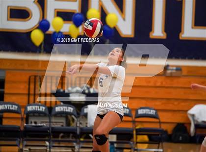 Thumbnail 3 in Urban @ Bentley (CIF NCS D5 Quarterfinal) photogallery.