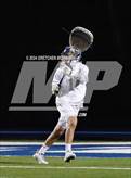 Photo from the gallery "Weston @ Wilton"