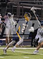 Photo from the gallery "Weston @ Wilton"