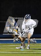 Photo from the gallery "Weston @ Wilton"