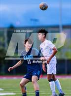 Photo from the gallery "Stadium @ Mt. Rainier"