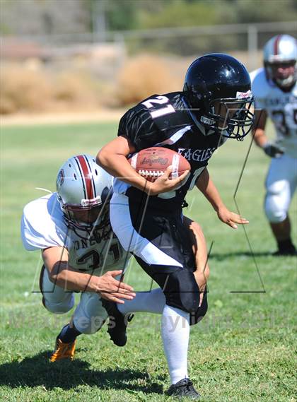 Thumbnail 3 in Concordia @ Antelope Valley Christian photogallery.