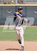 Photo from the gallery "Mingus @ Shadow Mountain"