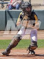 Photo from the gallery "Mingus @ Shadow Mountain"